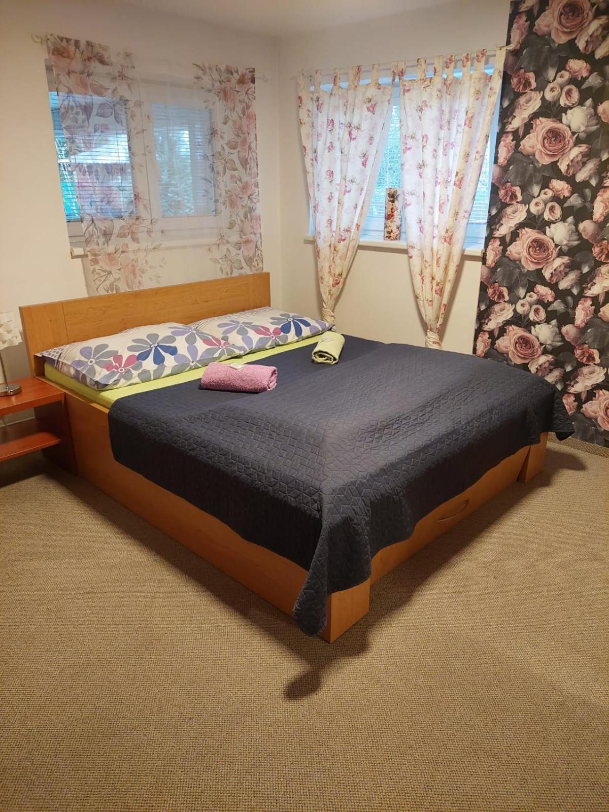 Penzion Slunce Česká Lípa エクステリア 写真